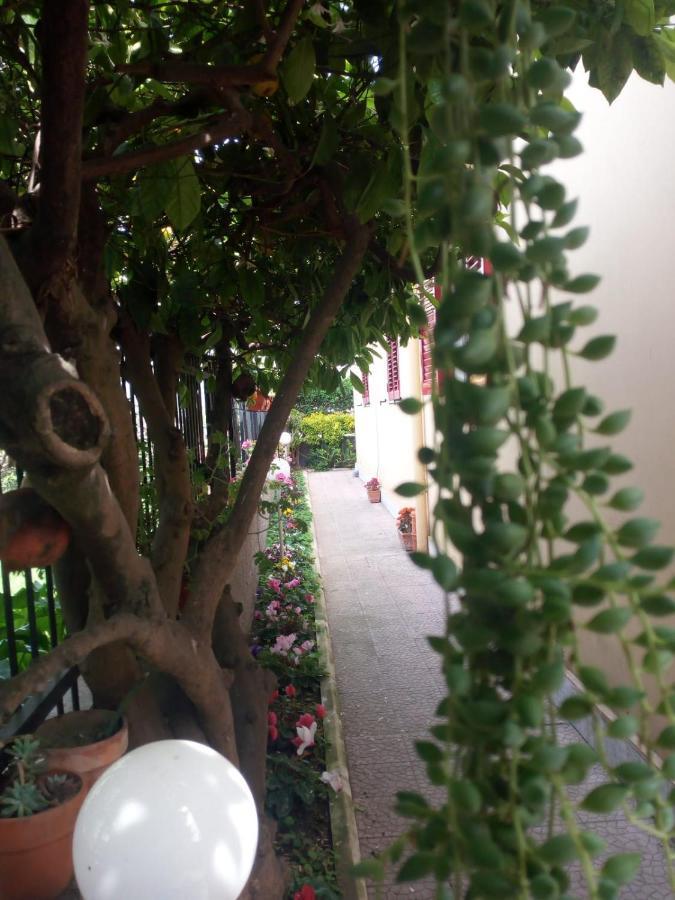 Green Garden Pompeï Buitenkant foto